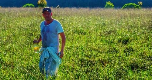 16865056 1860165417598373 3339276452942757388 n