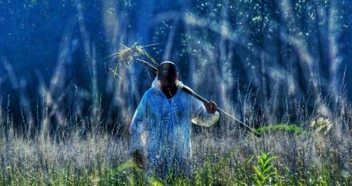 16904801 1855404958074419 6334161125581310704 o