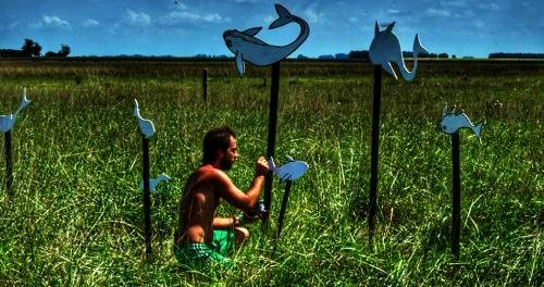 17155718 1860165450931703 7018779395092420119 n