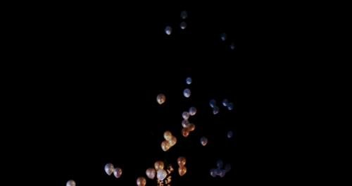 17190672 1860930037521911 8035624980934400952 n