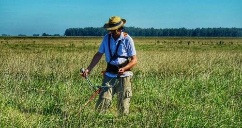 17191487 1866172193664362 7800712104963425139 n