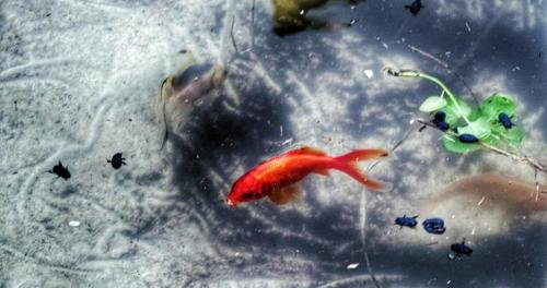 17211795 1861824547432460 624539674705190234 o